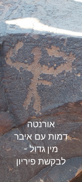 קובץ:2024-11-15T11 19 59.457966547755.jpg