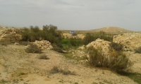 Ashalim to Lavan stream section - Shadmot Shezaf area - bridge 1 south.jpg