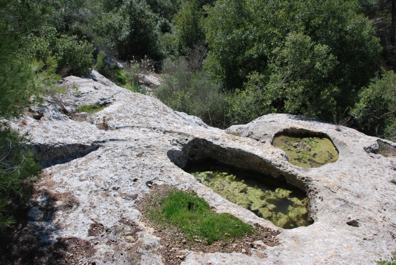 קובץ:Mount giora old press.JPG