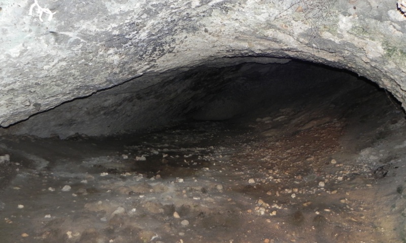 קובץ:Tirat Carmel cave4.JPG