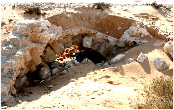 קובץ:ללא שם 1.jpg