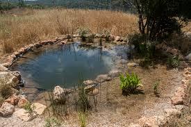 קובץ:2025-06-28T22 59 49.221595115315.jpg