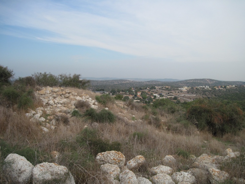 קובץ:אבןזיד.JPG