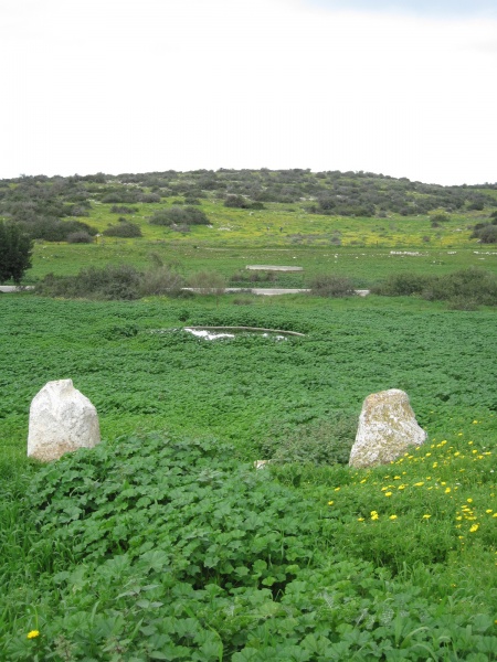 קובץ:אבניםבריכות.JPG