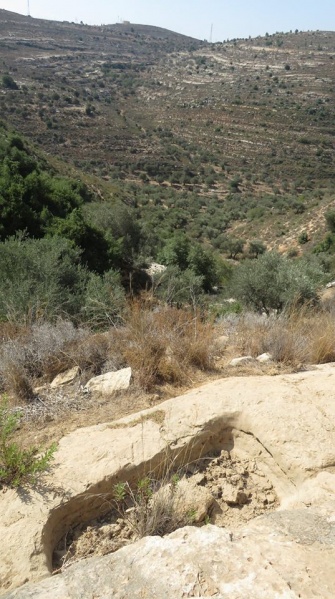 קובץ:אגןרכסהראס.jpg