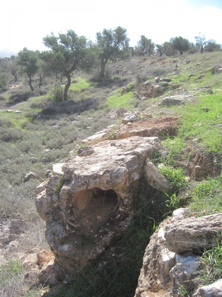 קובץ:אמהדרום.JPG