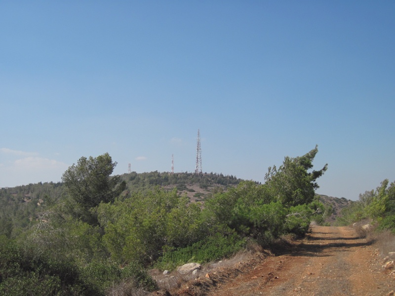 קובץ:אנטנה.JPG