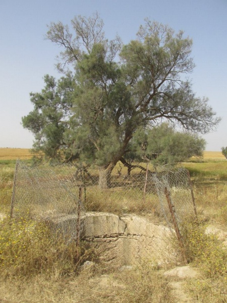 קובץ:בורששמר.jpg