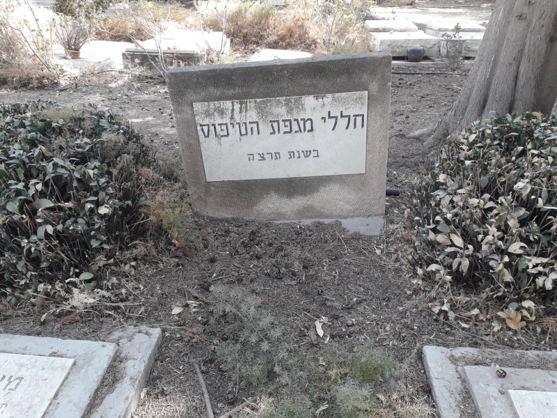 קובץ:ביקחולדהא.jpg