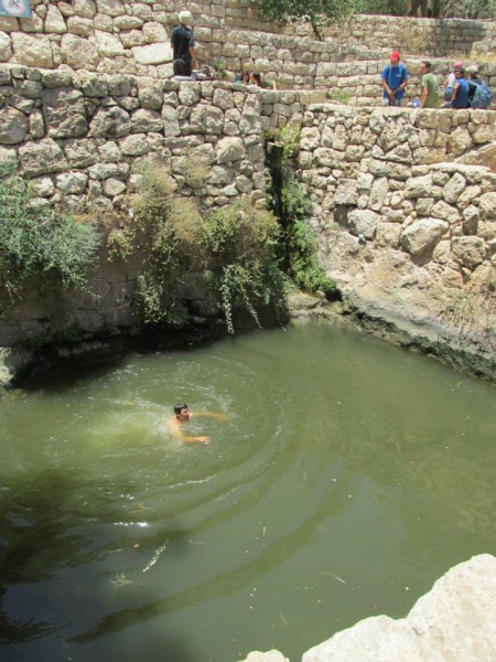 קובץ:בריכתסטף;.jpg