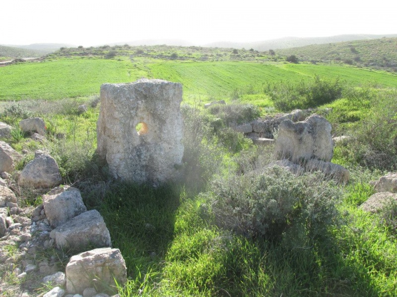 קובץ:בתוניצבניה.jpg