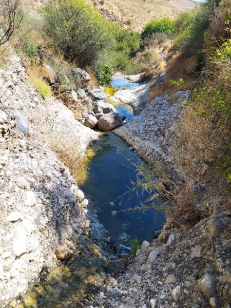 קובץ:גביםמיצר.jpg