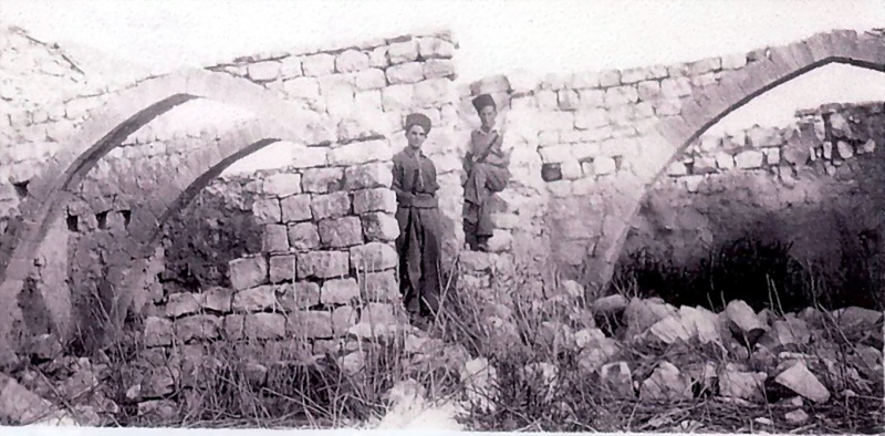 קובץ:גפירים בחירבת, רזזוי.jpg