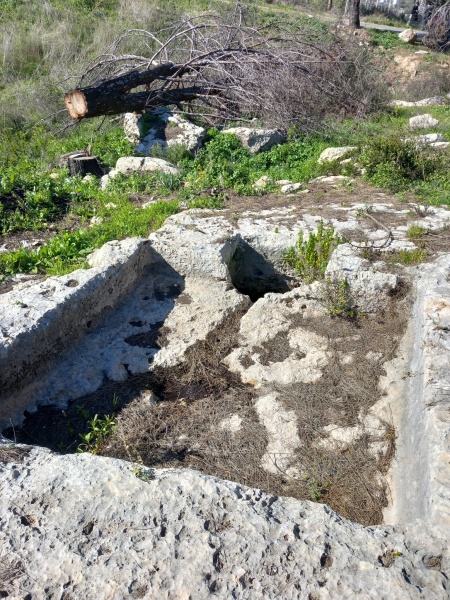 קובץ:גתכבישביקמוד.jpg