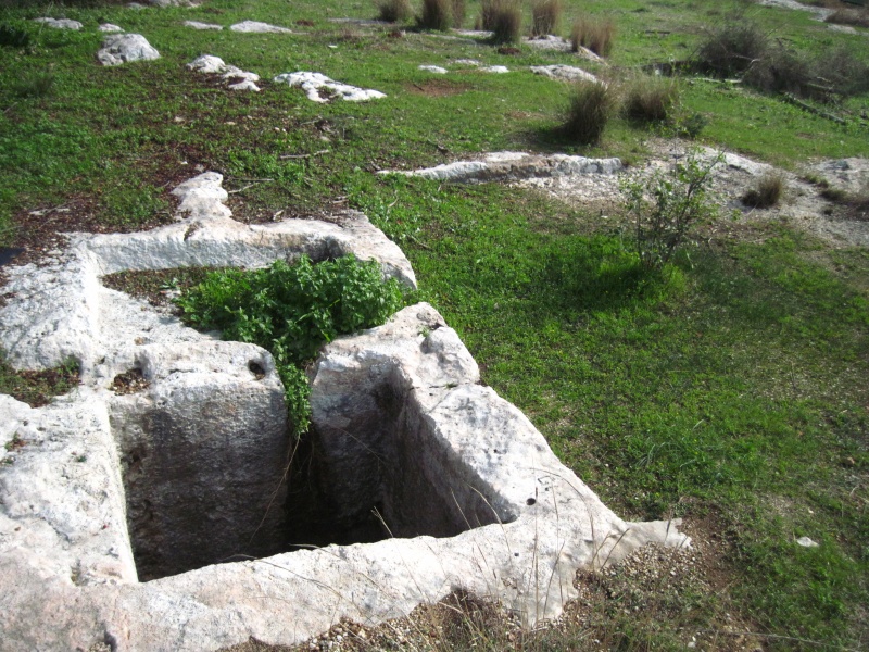 קובץ:גתנג93אתר163.JPG