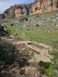 גת - יראון.jpeg