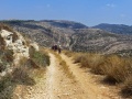 תמונה ממוזערת לגרסה מתאריך 18:25, 3 בספטמבר 2014