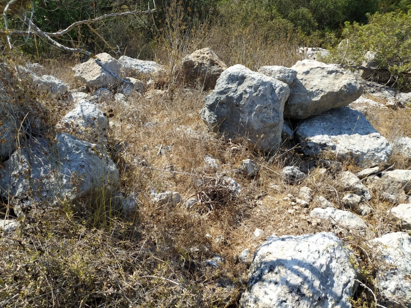 קובץ:חורבהשלכלום.jpg