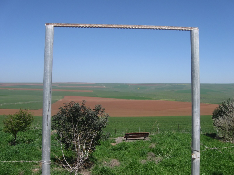 קובץ:חורשת תגלית צפונה.jpg