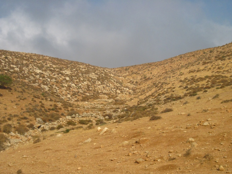 קובץ:חקלאותעתיקהעמשא.JPG