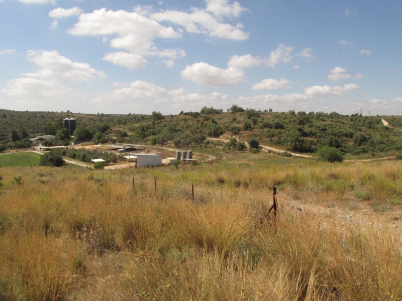 קובץ:חרבתסגד.JPG