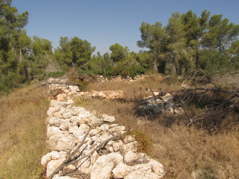 קובץ:חרבתרשם.JPG