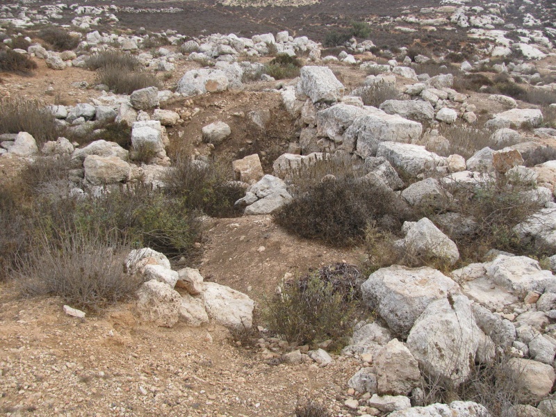 קובץ:חרבת א-זית (18).JPG