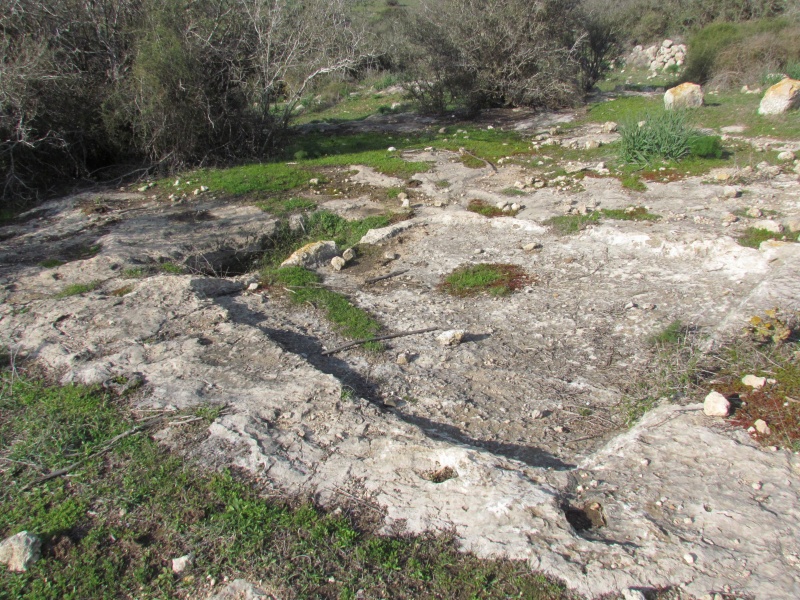 קובץ:חרבת רימונה גת.JPG