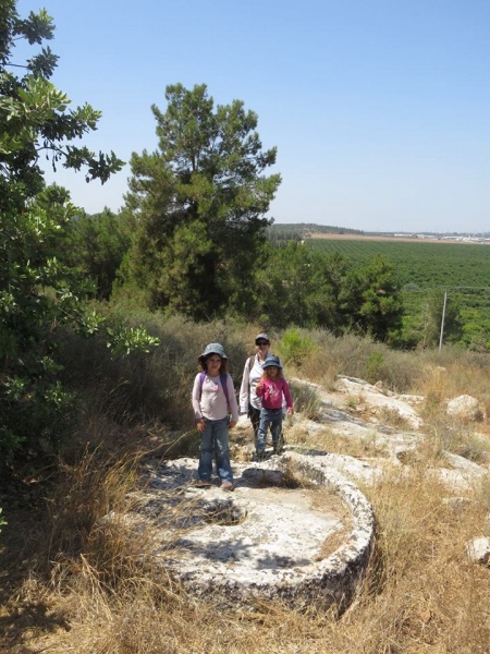 קובץ:יםצוריצחק.jpg