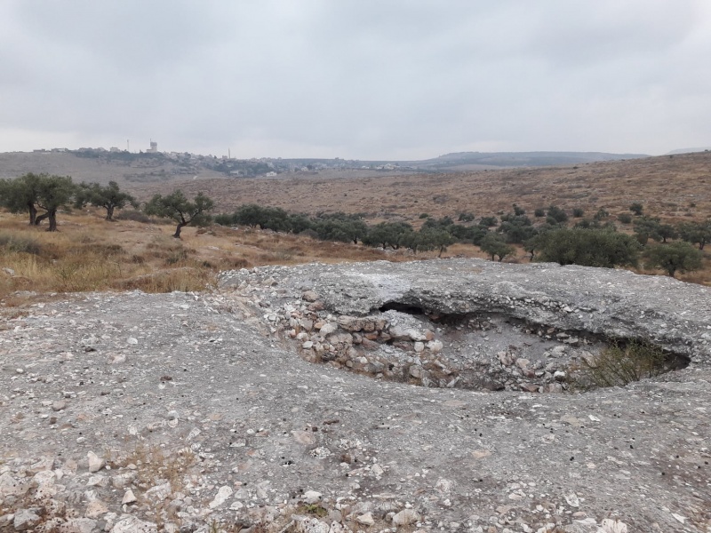 קובץ:כבשןסידעופריםב.jpg