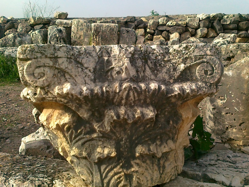 קובץ:כותרת לעמוד בבית הכנסת העתיק בארבל-צילם שמואל פישר.jpg