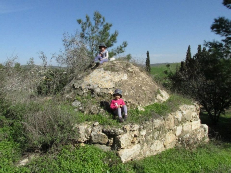 קובץ:כיפתשייח.jpg