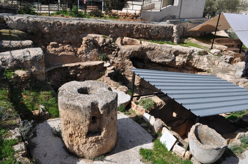 קובץ:כנסיית שדה הרועים הקתולית (3).JPG