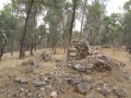 תמונה ממוזערת לגרסה מתאריך 11:06, 20 ביולי 2014