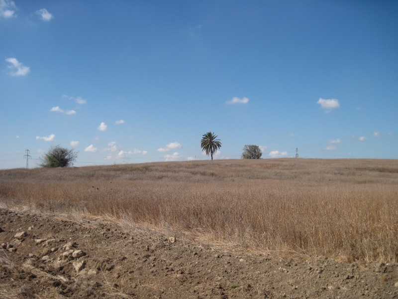 קובץ:כפר עיבדיס.JPG