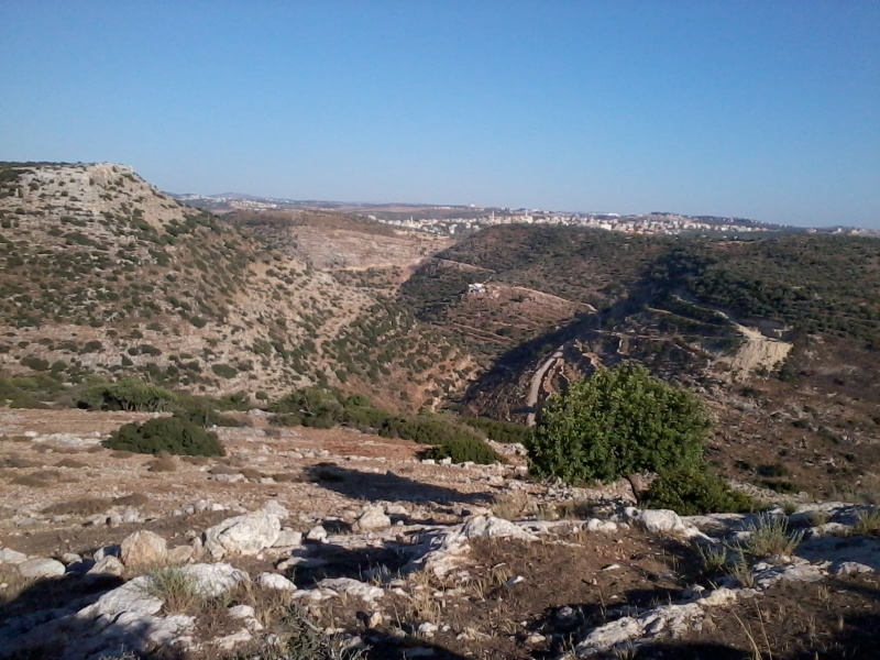 קובץ:מבט פנורמי דרומה.jpg