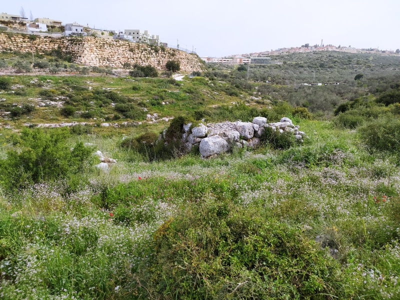 קובץ:מגדללשם.jpg