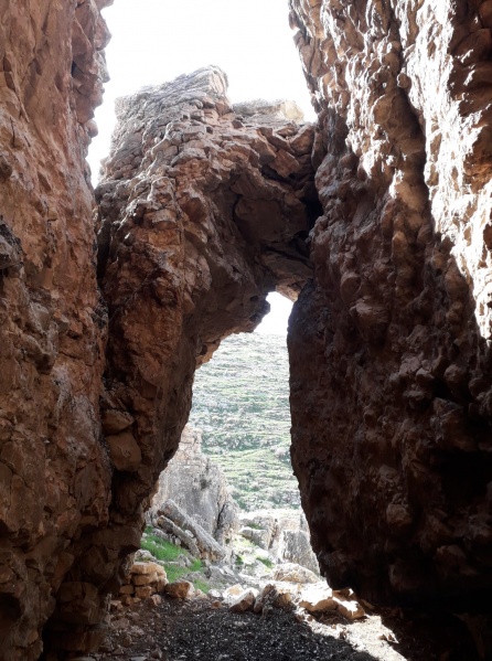 קובץ:מותקליבתא.jpg