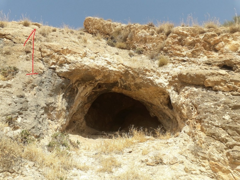 קובץ:מערהעליונהמקבץבקר.jpg