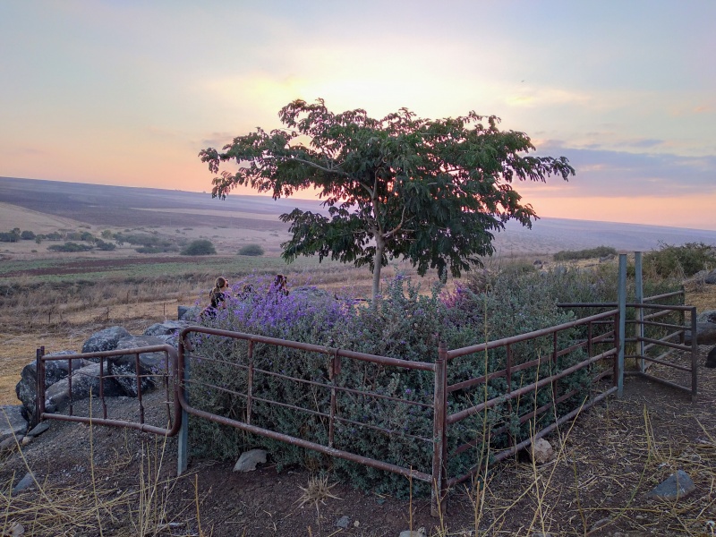 קובץ:מערת גיורא.jpg