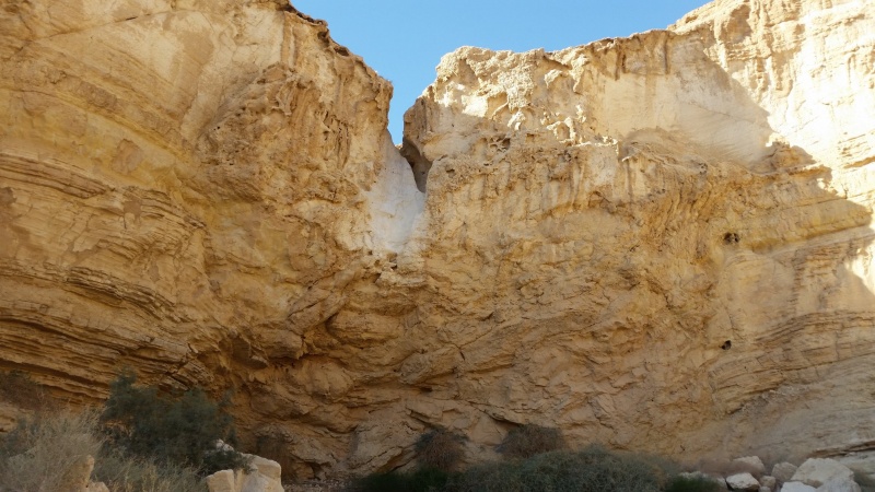 קובץ:מפללבןנחלתמר.jpg