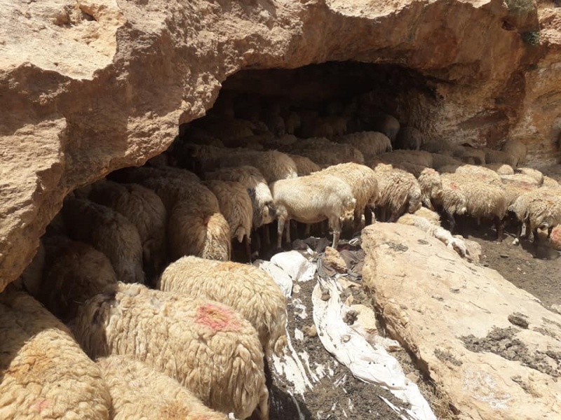 קובץ:מרארתאלעווייה.jpg