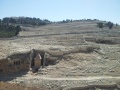 תמונה ממוזערת לגרסה מתאריך 07:25, 17 בינואר 2015