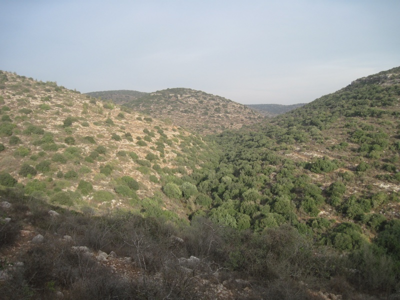 קובץ:נחלסנסן.JPG