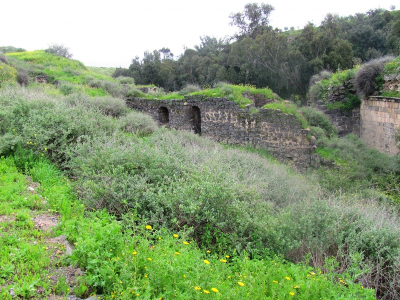 קובץ:סופש ניר דוד 2.2012 073.JPG