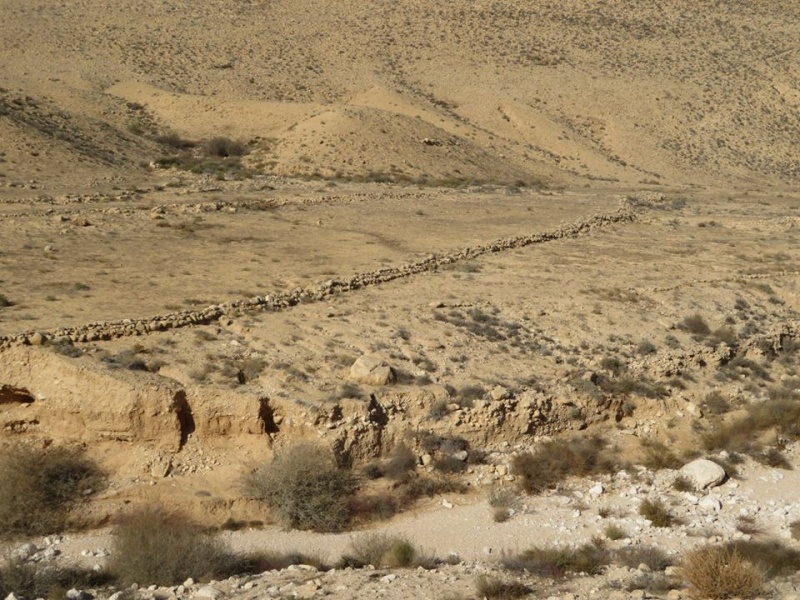 קובץ:סכריםטומולוס.jpg