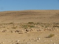 תמונה ממוזערת לגרסה מתאריך 18:14, 11 באוקטובר 2017