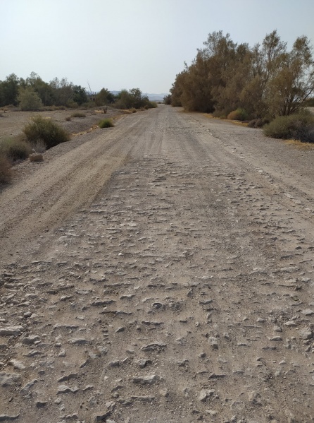 קובץ:סןלינגקליה.jpg