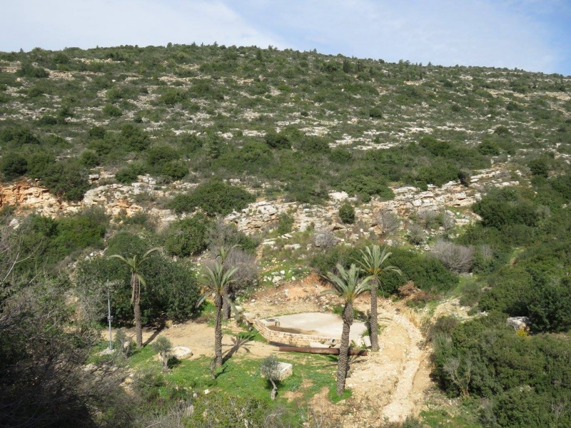 קובץ:עיןברטעה.jpg