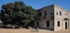 עץ המנגו ליד מבנה מרכז המטעים בגבעות סתריה.jpg
